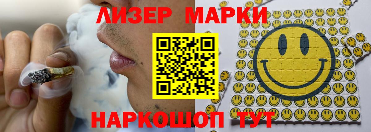 Галлюциногенные грибы Вичуга