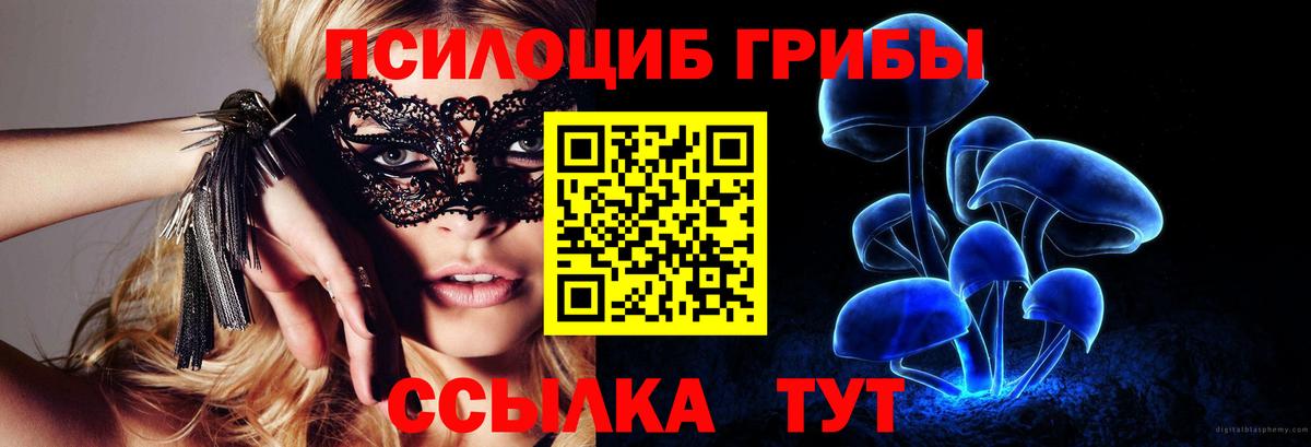 Псилоцибиновые грибы мухоморы  Вход с VPN  Вичуга  Псилоцибиновые грибы Magic Shrooms 
